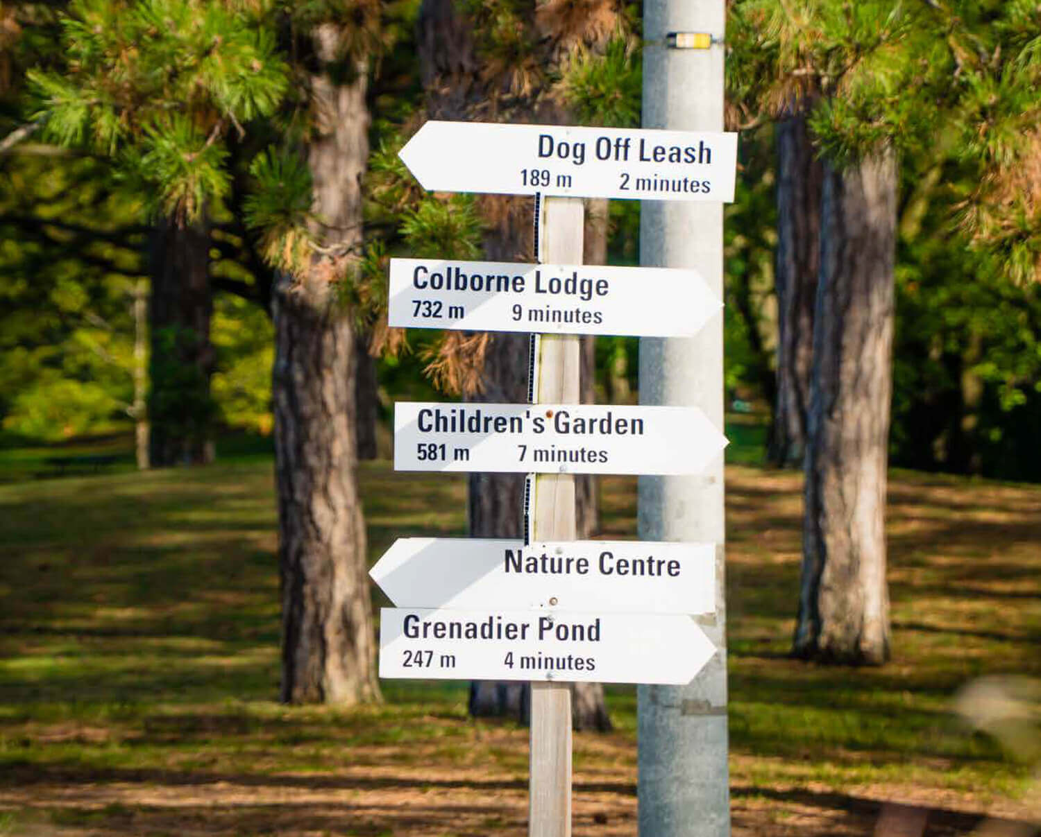 Directional signage on High Park wooded grounds.